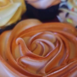 Meet your Posher, Lori